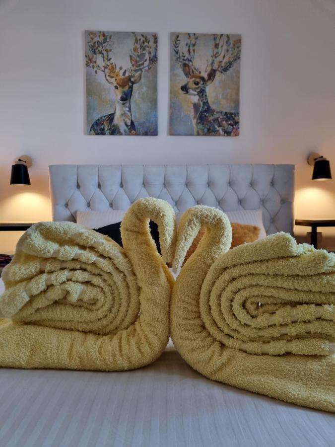 Zlatar Holidays Apartmani Nova Varoš Екстериор снимка
